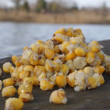 Kukurydza gotowana zanęta wędkarska tutti-frut 1kg