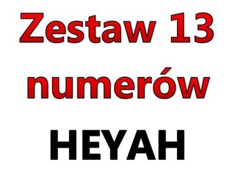 ZESTAW 13 ZŁOTCH NUMERÓW HEYAH STARTER