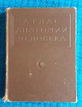 ATLAS ANATOMII CZŁOWIEKA ii 1948 Sinielnikow