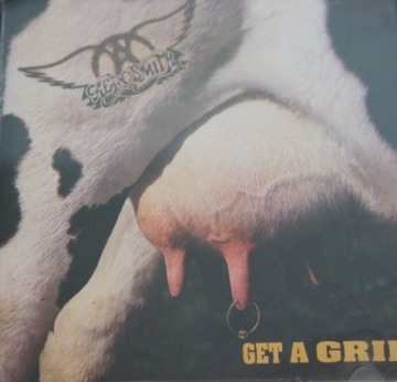 1b134. AEROSMITH GET A GRIP ~ USA