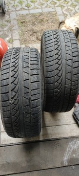 Opony zimowe Petlas Snow Master 225/55R16