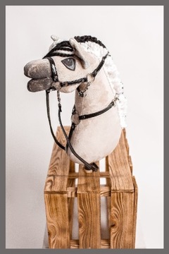 Hobby Horse Luna model Fiord A4