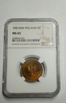  5 złotych 1981 NGC MS 65 PIĘKNA I BARDZO  RZADKA