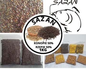 Zanęta wędkarska Rzepik z Konopią 1kg Sazan Baits