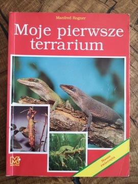 Moje pierwsze terrarium