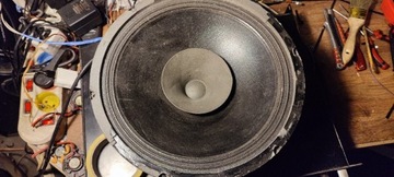 Głośnik fonics 30cm HWC8-12MA300