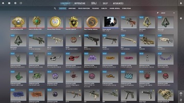 KONTO STEAM CS2 STATUS PRIME | 5 ODZNAK | CS GO