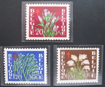 Kwiaty flora 876-7, 879**
