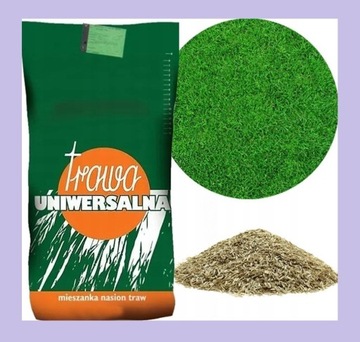 TRAWA UNIWERSALNA GREEN 5kg Szybko Zagęszczająca