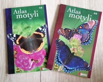 Dwuczęściowy atlas motyli 