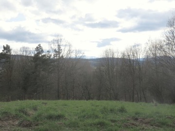 Działki pod przyczepę kempingową, jurtę, glamping.