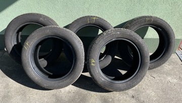 Opony Dębica letnie 205/55R16