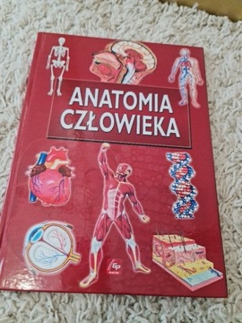 Anatomia człowieka