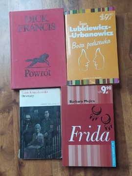 Zestaw 4 książek, Frida, Boża podszewka,.... 