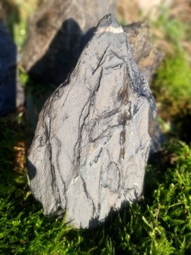 Czarny kamień z przerostem kwarcu 19x10cm