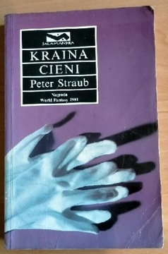 Peter Straub Kraina Cieni