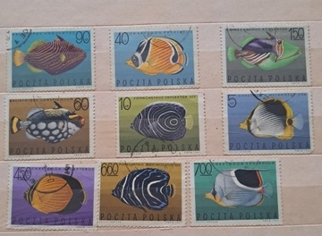 Ryby - seria z 1967 roku