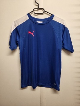 Niebieska koszulka sportowa Puma 164