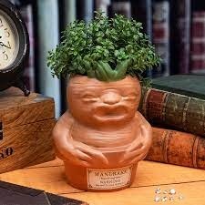 Doniczka Harry Potter pen plant pot