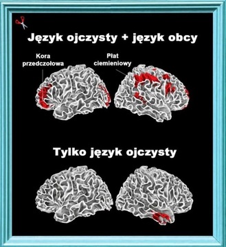 J.ANGIELSKI -SKUTECZNIE + (*****) 4x szybciej