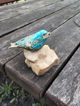 Ptaszek na kamieniu 