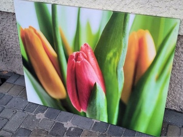 Obraz 3 Tulipany