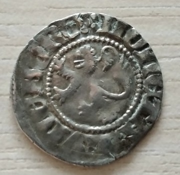 witten po 1389, Lüneburg