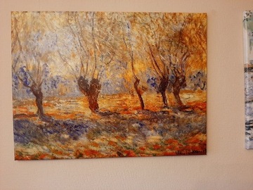 Claude Monet obraz 60 x 80 WIERZBY GIVERNE