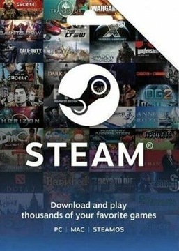 Karta podarunkowa Steam 300 Dolarów TWD GLOBAL KEY