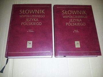 Słownik Współczesnego Języka Polskiego Reader's