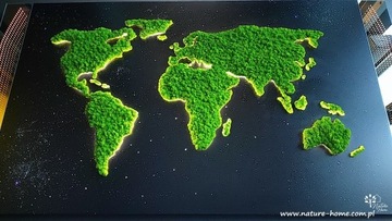 Obraz z mchu, mapa świata mech chrobotek