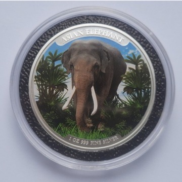 Asia Big Five: Asian Elephant 1 oz Ag 2023 kolor