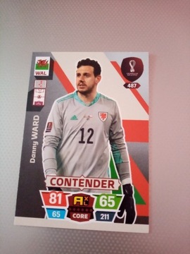 Fifa World cup Qatar 2022 DANNY WARD 487 