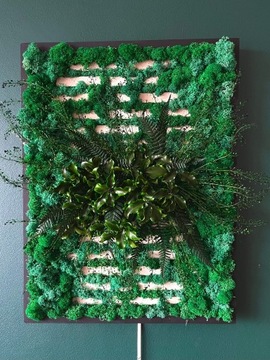 Obraz "Tryumf Natury", chrobotek i rośliny