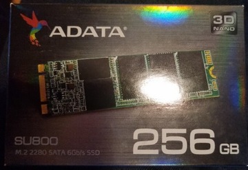 Dysk adata su800 256gb m.2 2280 sata