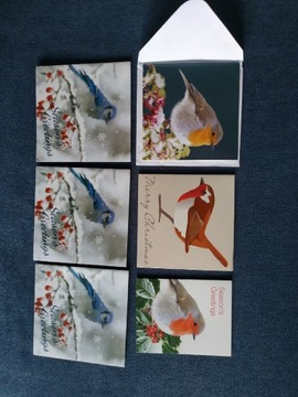 Kartki świąteczne ptaki 6 sztuk