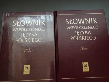 Słownik języka polskiego 
