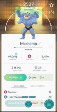 Machamp trade. Przeczytaj opis