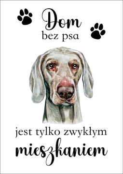 Plakat Dom bez psa jest tylko zwykłym mieszkaniem