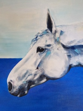 Obraz olejny oryginalny 50x70, Biały koń