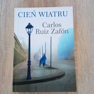 Cień wiatru.