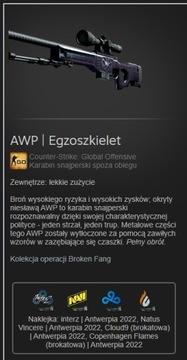 CSGO CS2 AWP Egzoszkielet