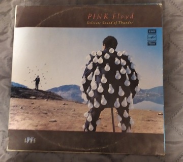 Pink Floyd - Delicate Sound Of Thunder. 2 LP. EX