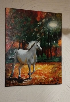 Obraz koń akryl na płótnie 