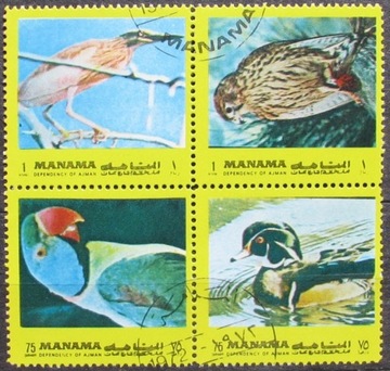 Bahrajn Manama Fauna Ptaki