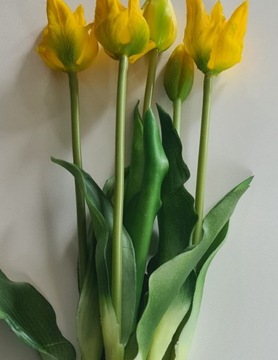 Tulipany Silikonowe Bukiet Tulipanów Gumowych 5szt.