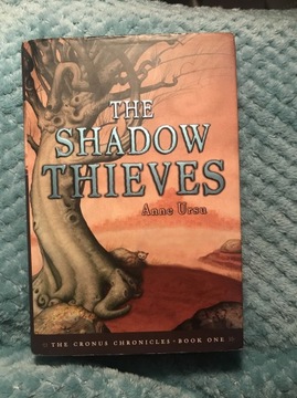 THE SHADOW OF THIEVES