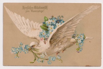 Gołąb Niezapominajki Kwiaty 1914r. LITOGRAFIA 