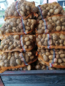 Ziemniaki Jadalne