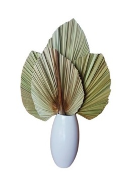 Liść palmowy suszony susz dekoracyjny BOHO 2 szt